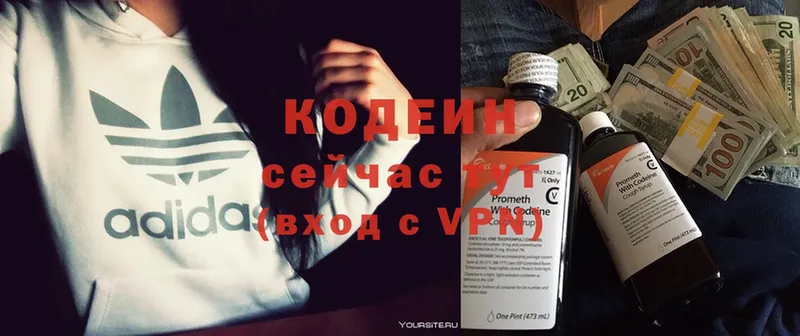 продажа наркотиков  кракен как зайти  Кодеиновый сироп Lean Purple Drank  Бикин 